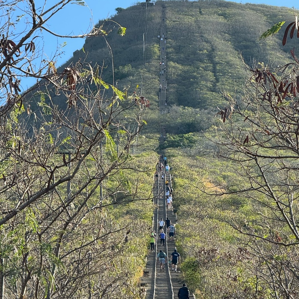 Meet your Posher, Jacejay